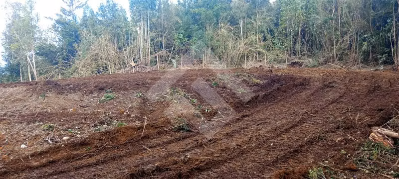 Parcela en venta Terrazas de Neo alerce Puerto Montt