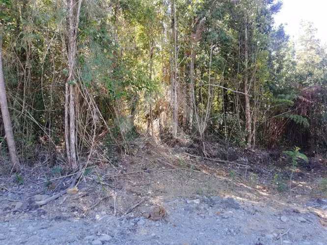 Parcela en venta Terrazas de Neo alerce Puerto Montt