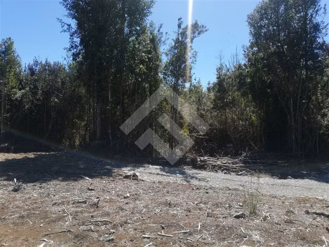 Parcela en venta Terrazas de Neo alerce Puerto Montt