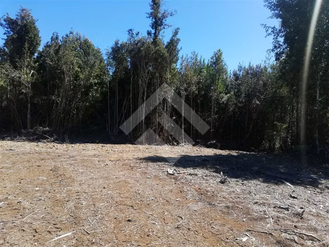 Parcela en venta Terrazas de Neo alerce Puerto Montt