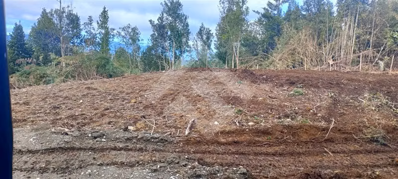 Parcela en venta Terrazas de Neo alerce Puerto Montt