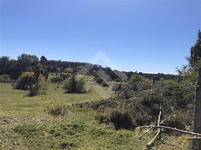 Campo de 46,4 hectáreas en sector Rio Negro, Quemchi