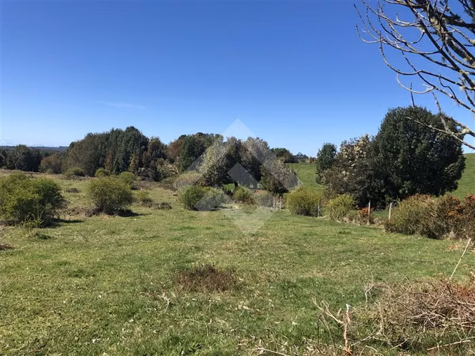 Campo de 46,4 hectáreas en sector Rio Negro, Quemchi