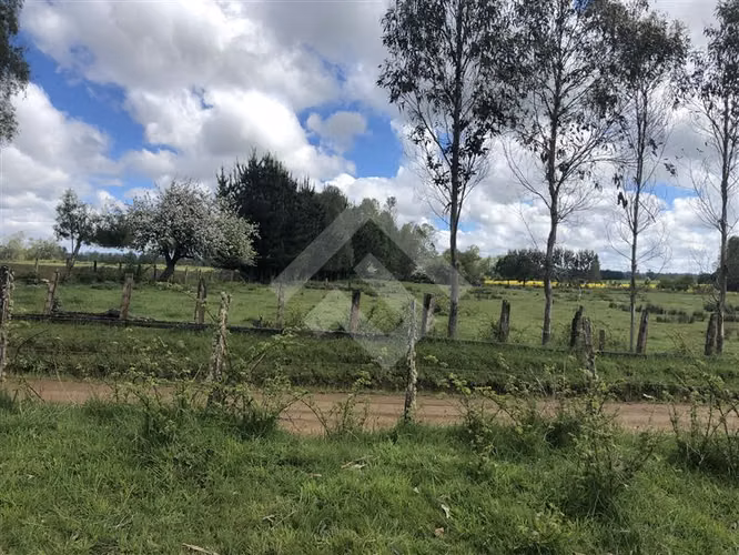 Sitio cerca de Tegualda