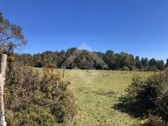 Campo de 46,4 hectáreas en sector Rio Negro, Quemchi