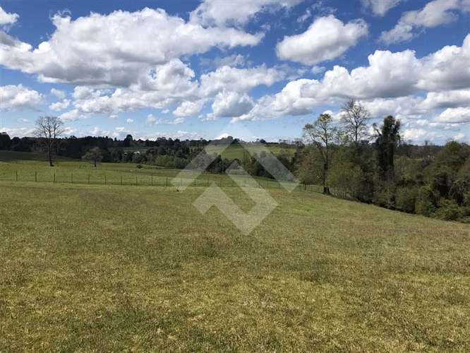 Campo de 4 hectáreas en Purranque