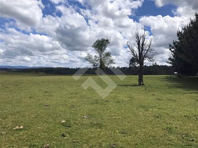 Campo de 4 hectáreas en Purranque