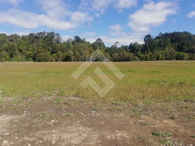 Parcela en venta con acceso a rio Maullin - Imagen 22