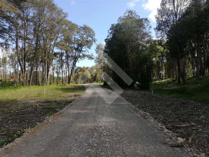 Parcela en venta con acceso a rio Maullin - Imagen 24