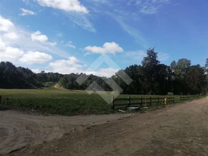 Parcela en venta con acceso a rio Maullin - Imagen 23
