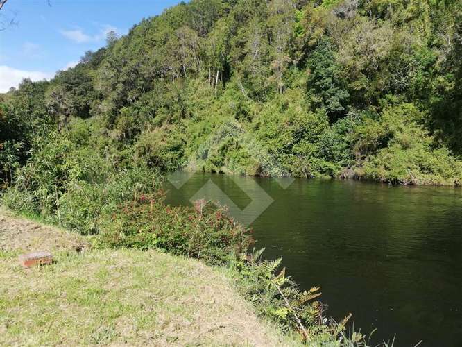 Parcela en venta con acceso a rio Maullin - Imagen 11
