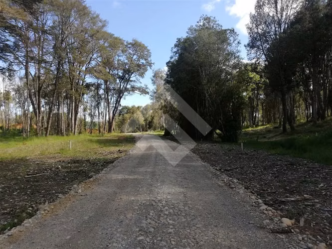 Parcela en venta con acceso a rio Maullin