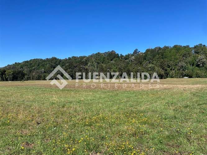 Parcela en venta con acceso a rio Maullin - Imagen 16