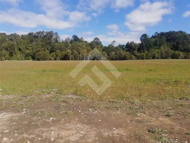 Parcela en venta con acceso a rio Maullin