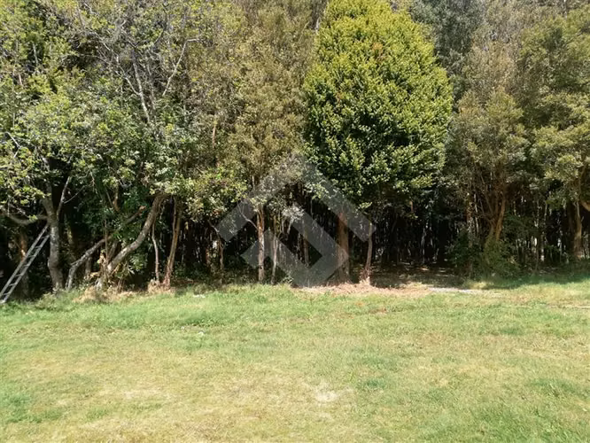 Casa en venta de 3 dorm. en Puerto Montt