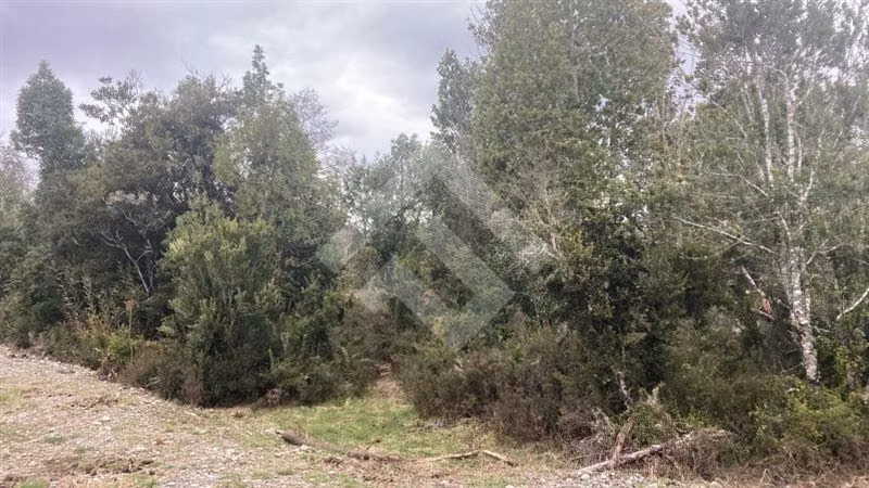 Vendemos Parcela en sector Nueva Braunau Puerto Varas