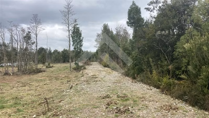 Vendemos Parcela en sector Nueva Braunau Puerto Varas