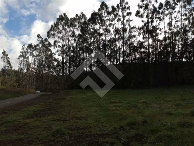 Hermosa parcela en venta en Nueva Braunau Puerto Varas