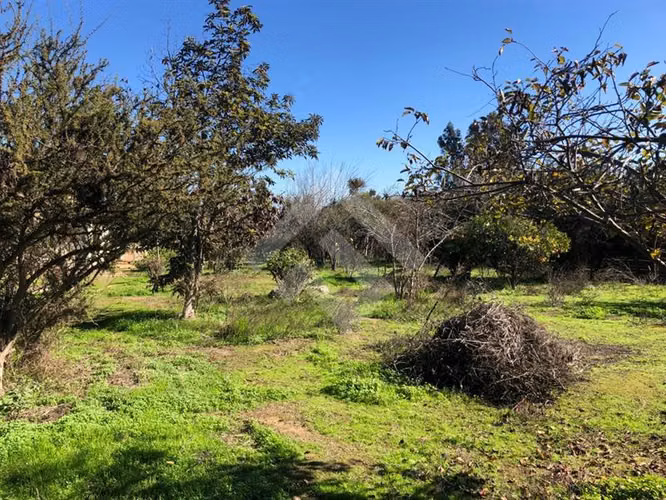 TERRENO EN VENTA PARA PROYECTO INMOBILIARIO EN VILLA ALEMANA - Imagen 2