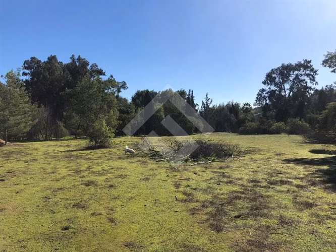 TERRENO EN VENTA PARA PROYECTO INMOBILIARIO EN VILLA ALEMANA - Imagen 8