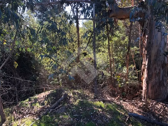 TERRENO EN VENTA PARA PROYECTO INMOBILIARIO EN VILLA ALEMANA - Imagen 17