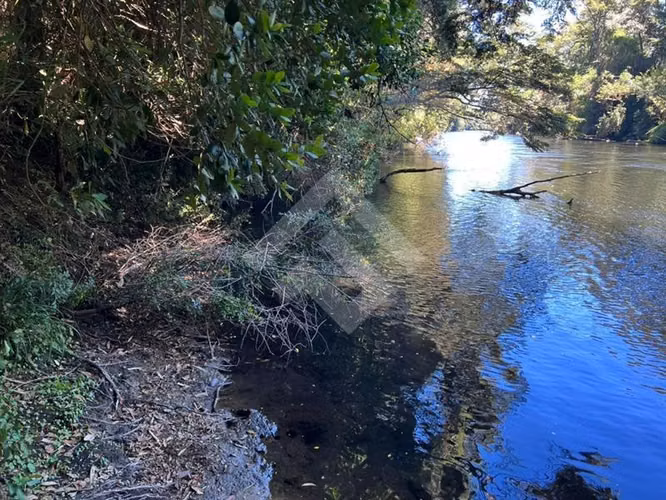 TERRENO DE 7 HECTAREAS SECTOR LA QUEMAS CON ORILLA DE RIO