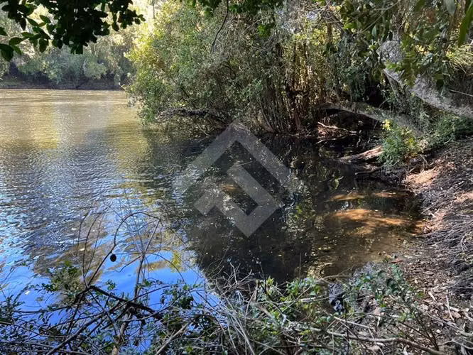 TERRENO DE 7 HECTAREAS SECTOR LA QUEMAS CON ORILLA DE RIO