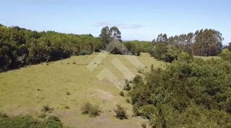 Sitio en venta en sector del Rio Ahinco en Puerto Montt