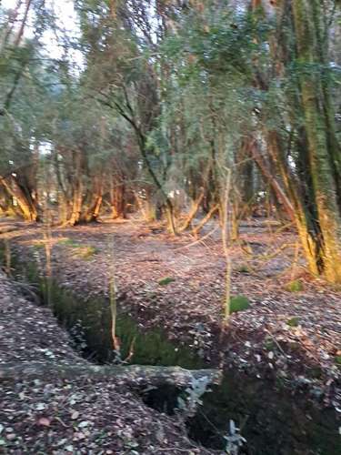 PARCELA EN PARTE CAMPESTRE DE PUERTO VARAS - Imagen 21