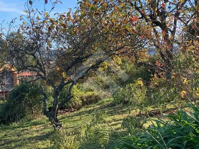 Sitio Urbano en venta en Puerto Varas