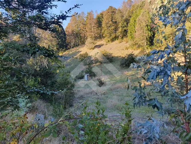 SE VENDE CAMPO DE 24,5 HECTAREAS EN VILLARRICA