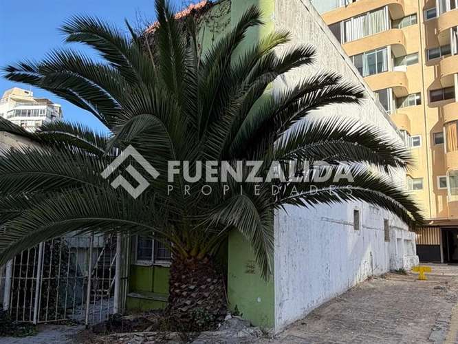 3 Local Comercial en venta en Viña del Mar Para Inversión. - Imagen 19