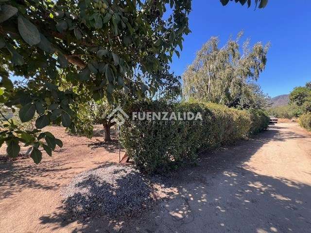 Sitio en venta en Casablanca - Imagen 13