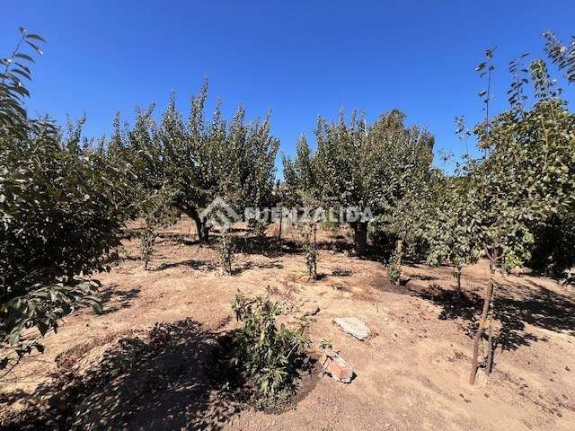 Sitio en venta en Casablanca - Imagen 5