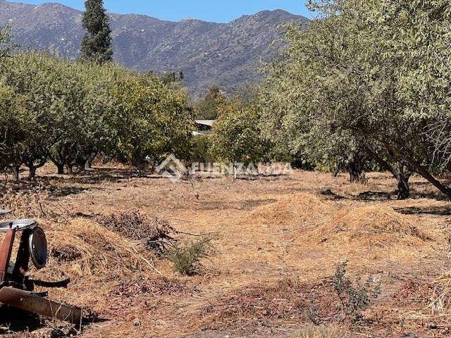 Sitio en venta en Casablanca - Imagen 36