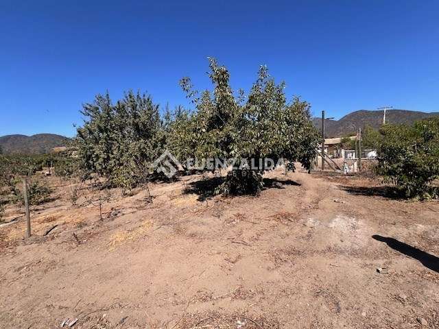 Sitio en venta en Casablanca - Imagen 4