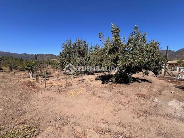 Sitio en venta en Casablanca - Imagen 2