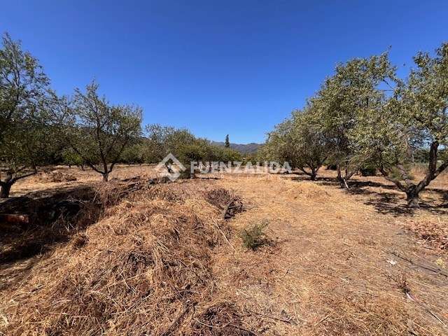 Sitio en venta en Casablanca - Imagen 38