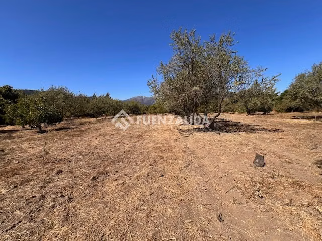 Parcela en venta en Casablanca