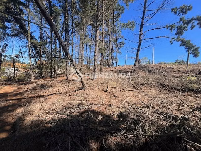 Sitio en venta en Sector Los Pinos -Reñaca