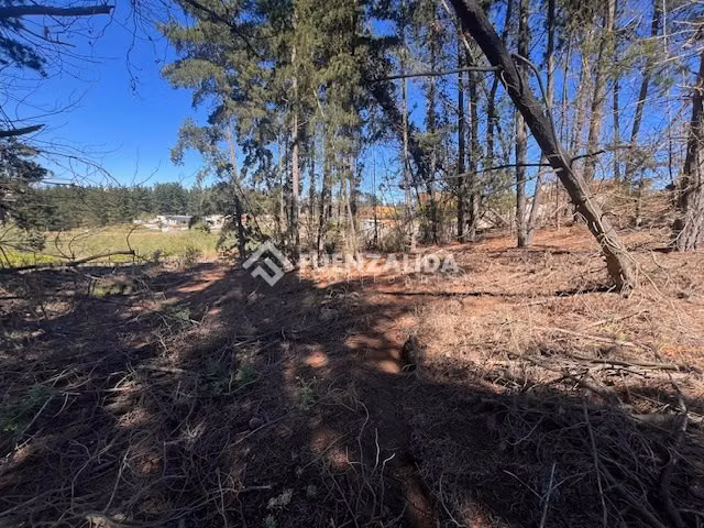 Sitio en venta en Sector Los Pinos -Reñaca