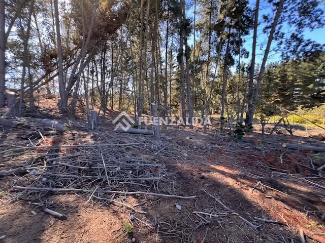 Sitio en venta en Sector Los Pinos -Reñaca