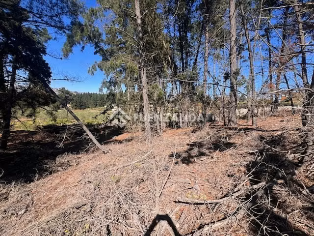 Sitio en venta en Sector Los Pinos -Reñaca