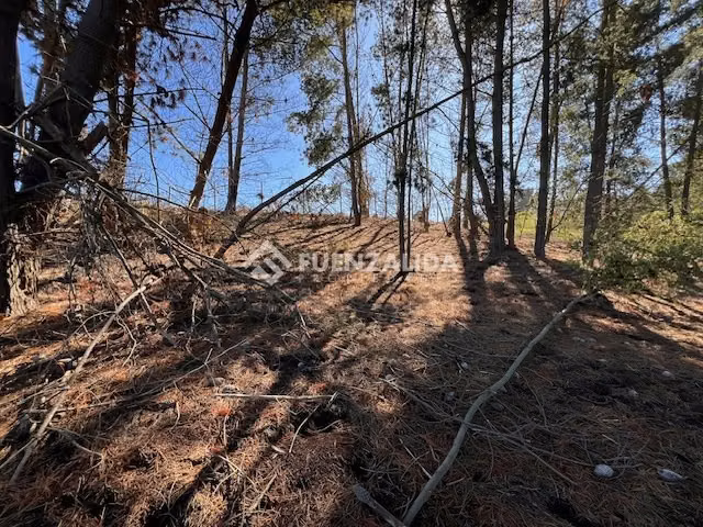 Sitio en venta en Sector Los Pinos -Reñaca