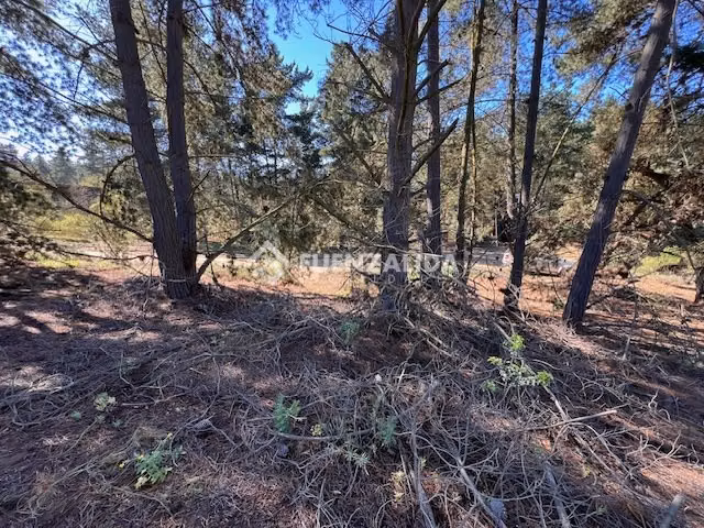 Sitio en venta en Sector Los Pinos -Reñaca