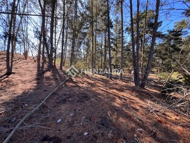 Sitio en venta en Sector Los Pinos -Reñaca