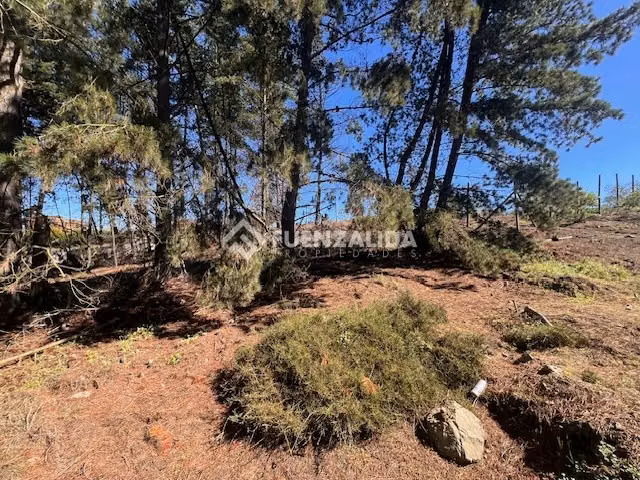 Sitio en venta en Sector Los Pinos -Reñaca