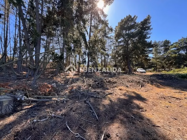 Sitio en venta en Sector Los Pinos -Reñaca