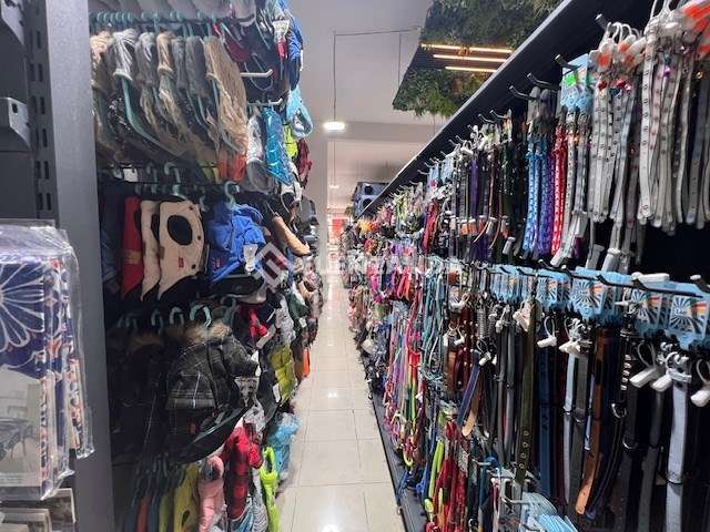 Local Comercial en arriendo en Viña del Mar - Imagen 14