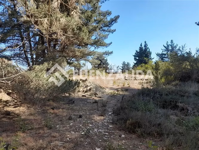 Sitio en venta en Viña del Mar